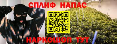 сатива Бузулук