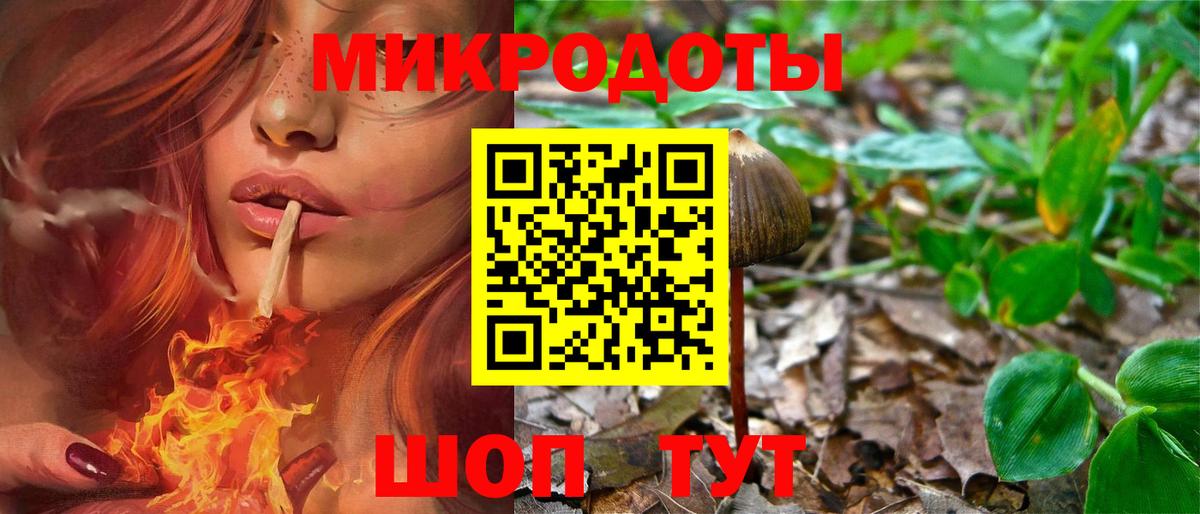Кировск  Галлюциногенные грибы мицелий  Вход с VPN  где продают наркотики  Псилоцибиновые грибы ЛСД 
