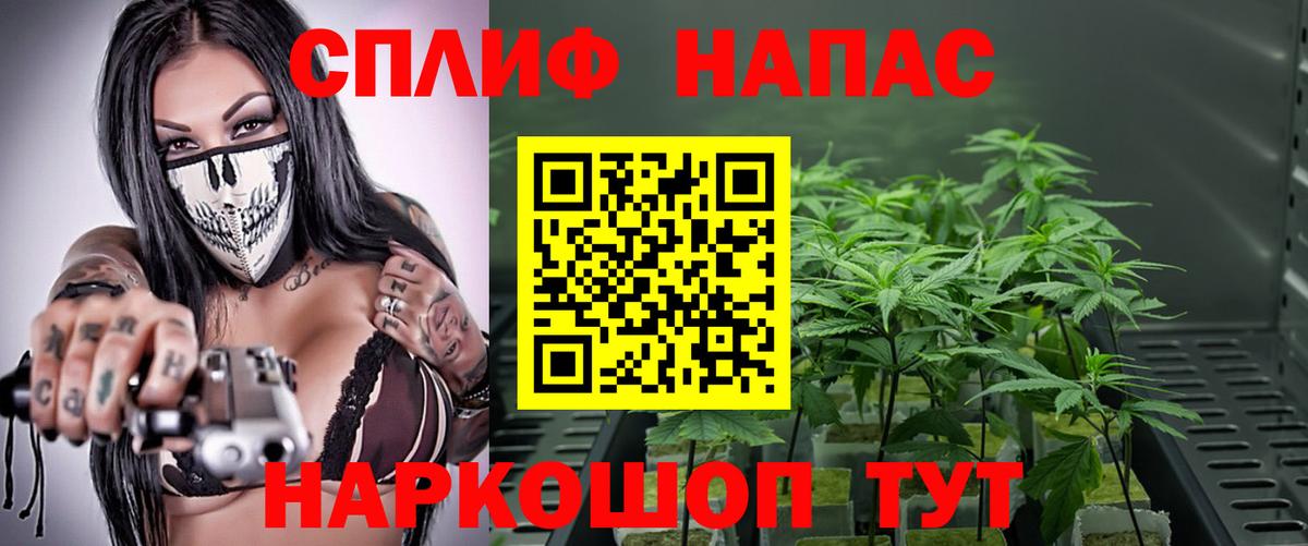 Бошки марихуана конопля Кировск